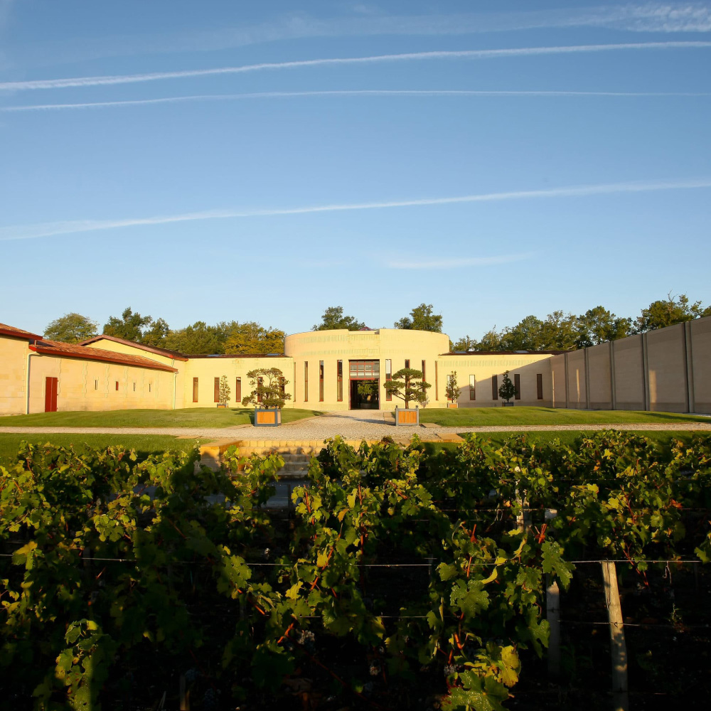 Domaine de la Chevalier