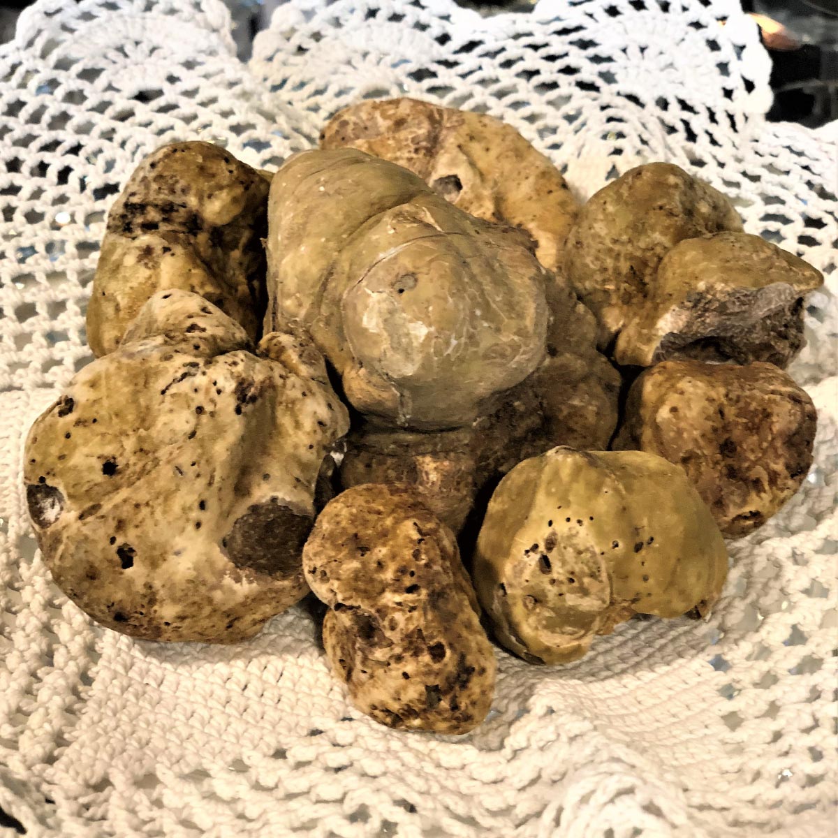 White Truffles